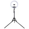 Puluz LED žiedinė lempa 34.5cm, su trikoju stovu iki 1.85m, veidrodžiu ir telefono laikikliu, USB
