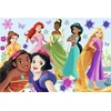 Trefl Dėlionė 60 vnt. - Disney Princesės