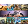 Trefl Dėlionė 1000 vnt. - Afrika