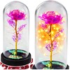 Lean Amžina krištolinė rožė kupole su LED apšvietimu rožinė 21x11cm