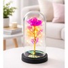 Lean Amžina krištolinė rožė kupole su LED apšvietimu rožinė 21x11cm