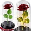 Lean Wieczna Amžina rožė kupole su LED apšvietimu, raudona, 21x11cm
