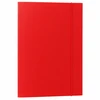 Lean Cardboard Folder with Elastic Band, Lacquered, A4, 300g/m2, Raudona