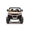 Lean Cars elektrinis automobilis