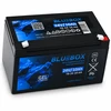 Lean Cars Akumuliatorius BLUEBOX Gelinis VRLA AGM 24V 10Ah
