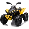 Lean Cars DK-CA002 12V10AH 4x4 Geltona Baterija Quad