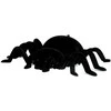 Lean Toys Interaktyvus nuotoliniu būdu valdomas voras tarantulas, 15x19 cm