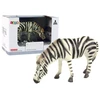 Lean Toys Kolekcinė figūrėlė LEANtoys Zebras
