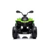 Lean Cars Akumuliatorinis keturratis- visureigis vaikams „Can-Am Renegade 4x4“, žalios spalvos