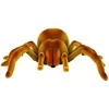 Lean toys Nuotolinio valdymo pultas Spider Tarantula Infrared Brown R/C