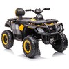 Lean Cars Vaikiškas geltonas elektrinis keturratis Quad S615 24V