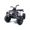 Lean Cars Elektrinis keturratis vaikams Quad BDM0909, baltas