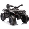 Lean Cars Vaikiškas keturratis Can Am Outlander 4x4 DK-CA005