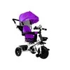 Triratis Lean Toys PRO300 su rankena, violetinis