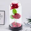 Lean Eternal 2 Roses in Dome with LED apšvietimas and Rose Petals Raudona 21x11cm