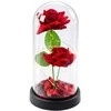 Lean Eternal 2 Roses in Dome with LED apšvietimas and Rose Petals Raudona 21x11cm