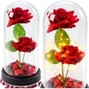 Lean Eternal 2 Roses in Dome with LED apšvietimas and Rose Petals Raudona 21x11cm