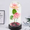 Lean Rožinė Eternal Roses in Dome with LED apšvietimas and Rose Petals Rožinė 21x11cm