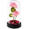 Lean Rožinė Eternal Roses in Dome with LED apšvietimas and Rose Petals Rožinė 21x11cm