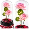 Lean Rožinė Eternal Roses in Dome with LED apšvietimas and Rose Petals Rožinė 21x11cm