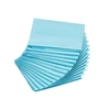Lean Absorbcinės palutės augintiniams 60x60 cm