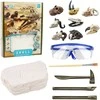 Lean Toys Archeologinių kasinėjimų rinkinys su kaukole