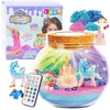Lean Toys Vienaragio terariumo rinkinys su LED lempa ir nuotolinio valdymo pultu