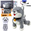 Lean Toys Interaktyvus Husky Robotukas su Nuotoliniu Valdymu