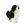 Lean Toys Interaktyvus žaislinis šuo Border Collie, juodai baltas, su garso ir judesio funkcijomis