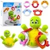Lean Toys Interaktyvus vėžliuko vonios žaislas su fontanu