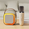 Lean Toys Belaidė karaoke kolonėlė su mikrofonu K12 RGB Bluetooth smėlinė