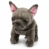 Lean Toys Pliušinis žaislas - prancūzų buldogas, 22 cm