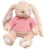 Lean Toys Pliušinis zuikutis su rožiniu megztiniu, 22 cm