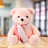 Lean Toys Rožinis pliušinis meškiukas su šaliku, 35 cm