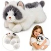 Lean Toys Persų katės pliušinis žaislas su sveriamomis letenėlėmis, 50 cm