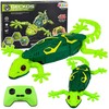 Lean Toys Valdomas driežas žalias