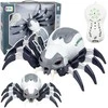 Lean Toys RC voro robotas