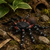 Lean Toys Tarantulos figūrėlė 10 cm