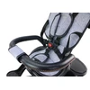 Lean Trike PRO550 Gray triratukas