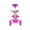 Lean Trike Triratis dviratis PRO100 su EVA ratukais, 95x48x90 cm