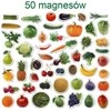 Magdum Vaisių ir daržovių magnetų rinkinys 50 vienetų MV 6032-42