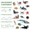 Maksik MV jūrų magnetai 6032 -18 rezidentai