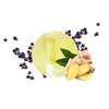 Carbaline Namų kvapas Ginger 50ml
