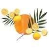Carbaline Namų kvapas Mediterian Citrus 50ml