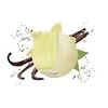 Carbaline Namų kvapas Vervain &amp; Vanilla 50ml
