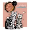3COTY kalakutiena su triušiena - šlapias kačių ėdalas - 80g