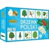 Adamigo Drzewa Polski atminties žaidimas 07882