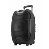 Aiwa Nešiojama garso sistema 400W (50W RMS) su karaoke, belaidžiu VHF mikrofonu