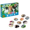 Žaidimas Memosy Cats PLX PUD ALEXANDER 2785 ALX