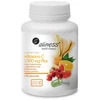 Aliness Maisto papildas su vitaminu C 1000 mg Plus, 100 kapsulių